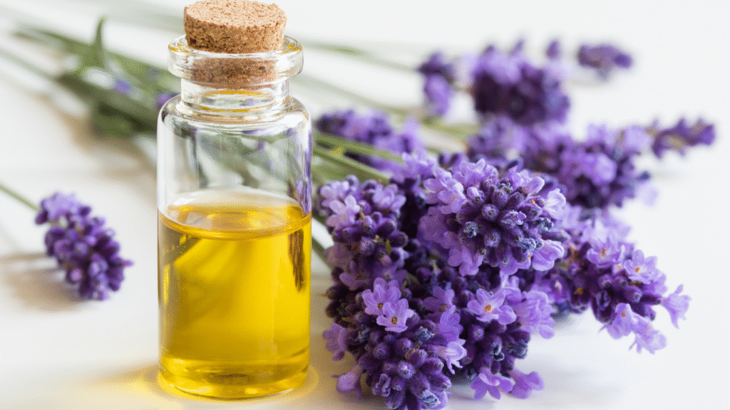 o poder da lavanda 2